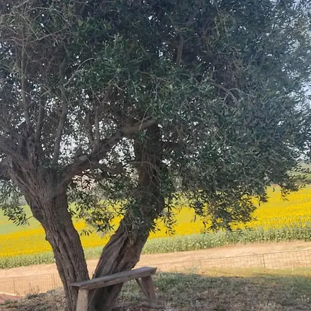 Casa Caminate Cnc Camera&cucina 3* Fano